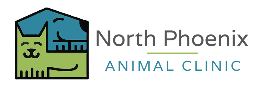 North Phoenix Animal Clinic