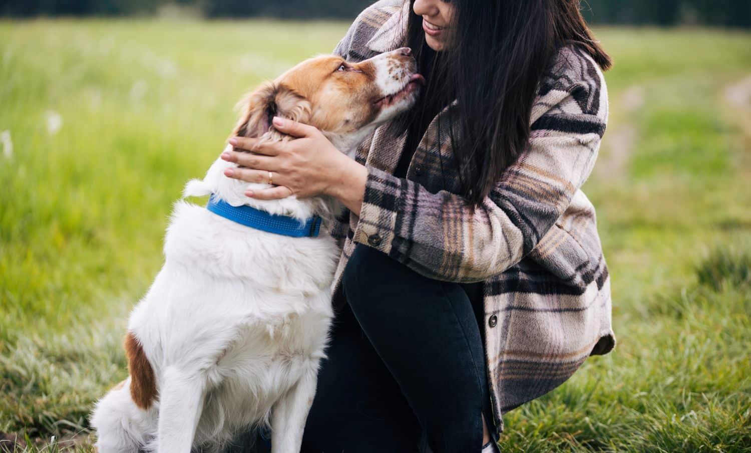 a dog with owner in a playground